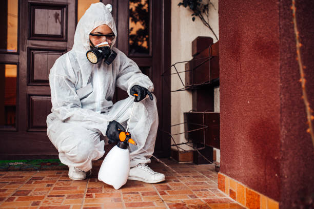 Reliable Wasp Removal contractor in Falling Waters, WV by Show Me Pest Control